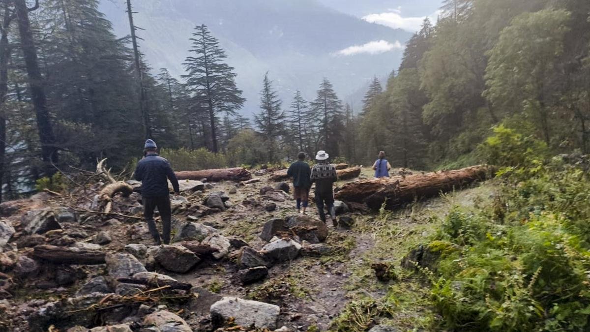 Google Preferred Source