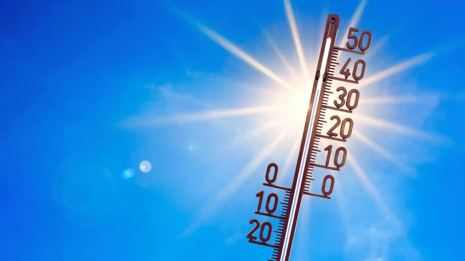 The Siasat Daily: Latest Hyderabad News, Telangana, Entertainment, India