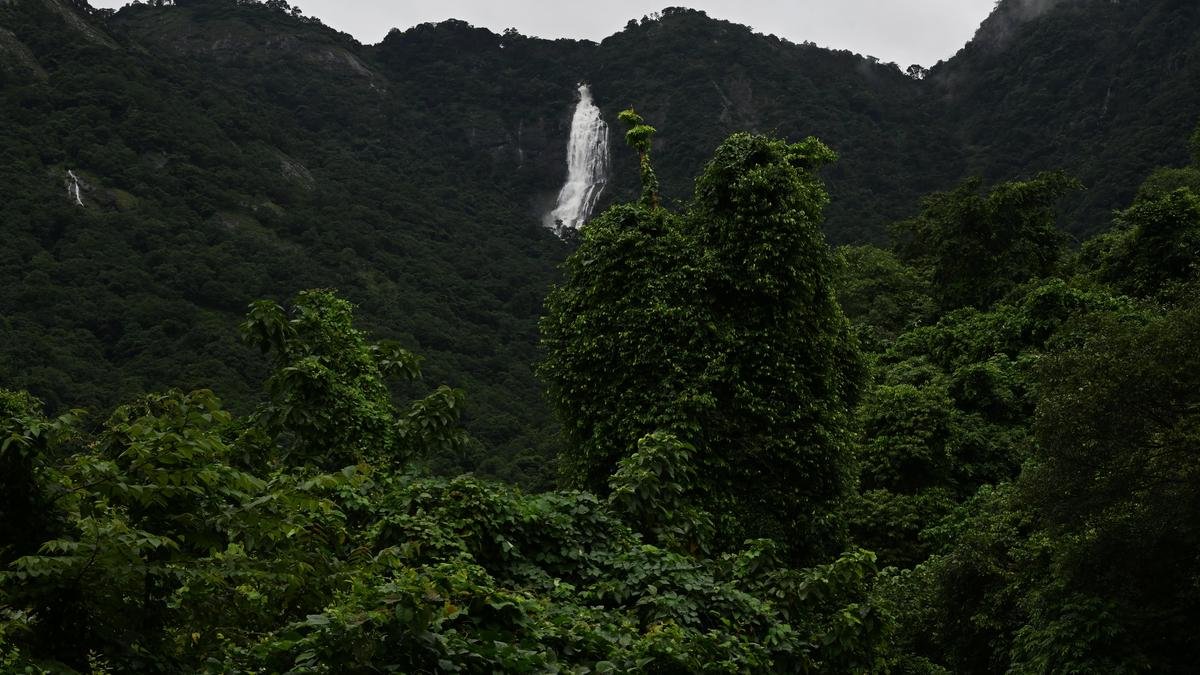 Centre reissues notification on Western Ghats eco-sensitive zone amid deadlock with States