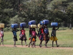 Africa food security under threat due to Iran war, trade officials warn | US-Israel war on Iran News